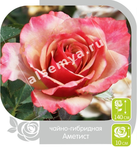 Аметист