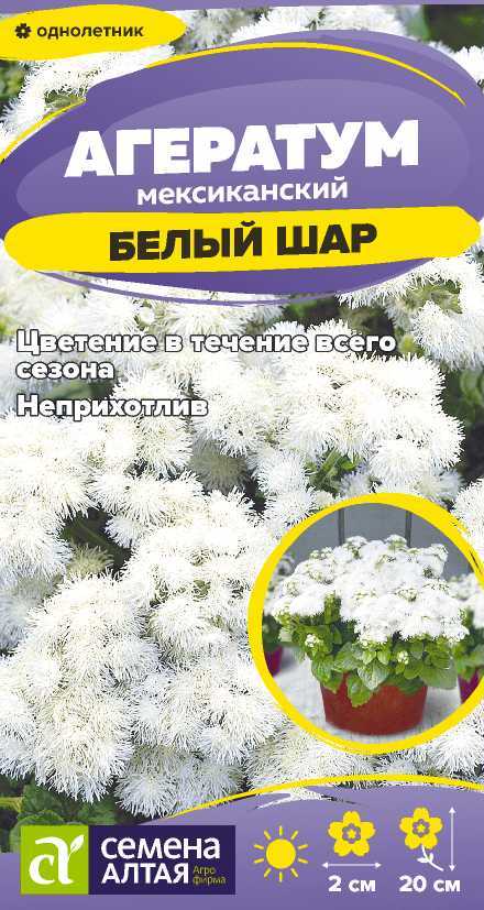 Агератум белый шар