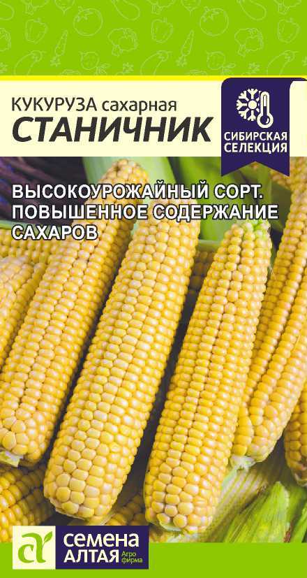Кукуруза Стаканчик