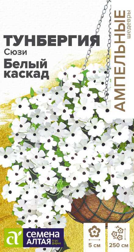 Тунбергия сюзи белый каскад