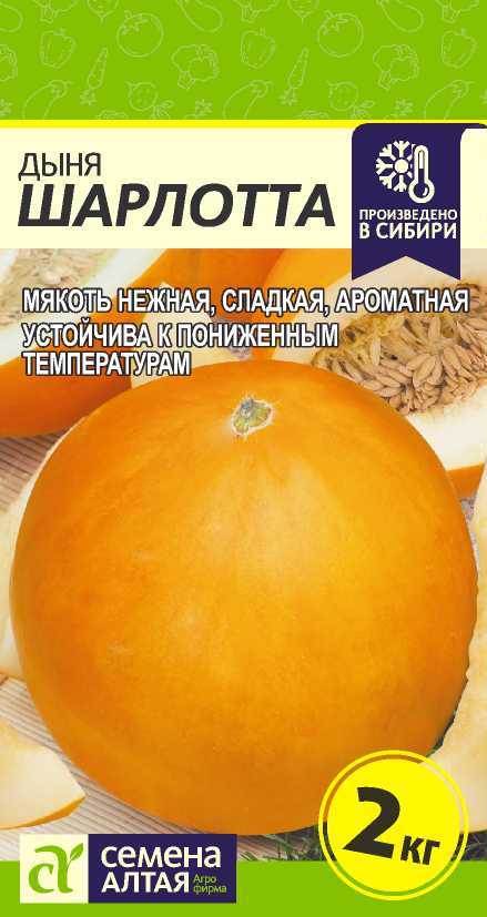Шарлотта цп