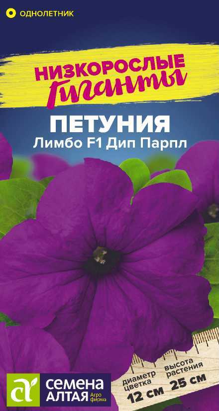 Петуния лимбо дип парпл низкорослая
