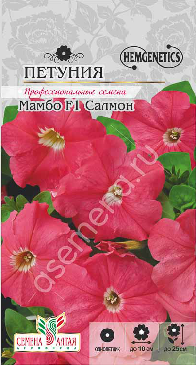 Мамбо салмон