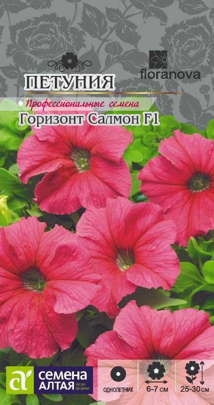 Горизонт Салмон цп