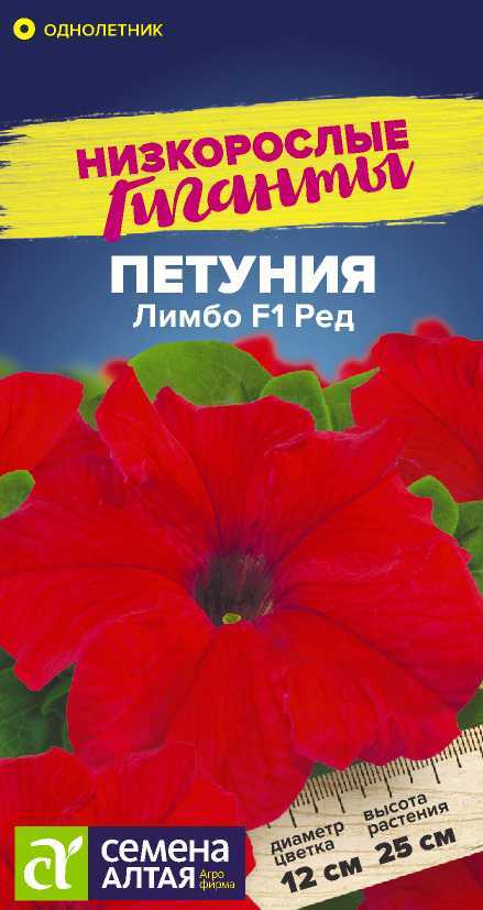 Петуния лимбо ред