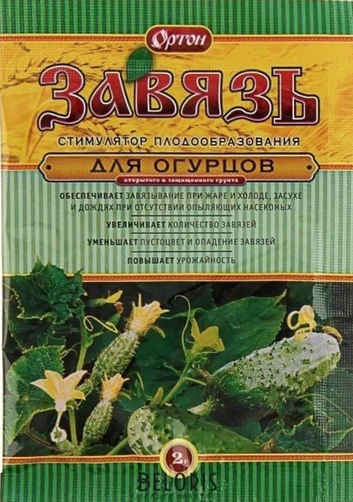Завязь