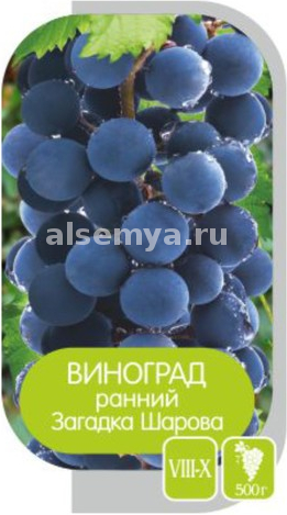 Загадка Шарова2