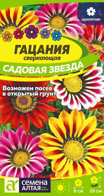 Гацания садовая звезда