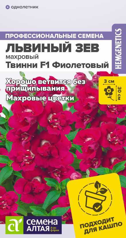Lvinyi-zev-tvinni-fiolet
