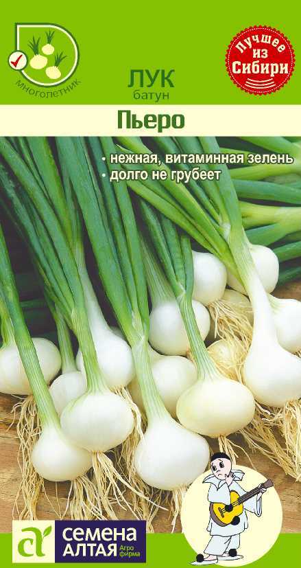 Пьеро цп