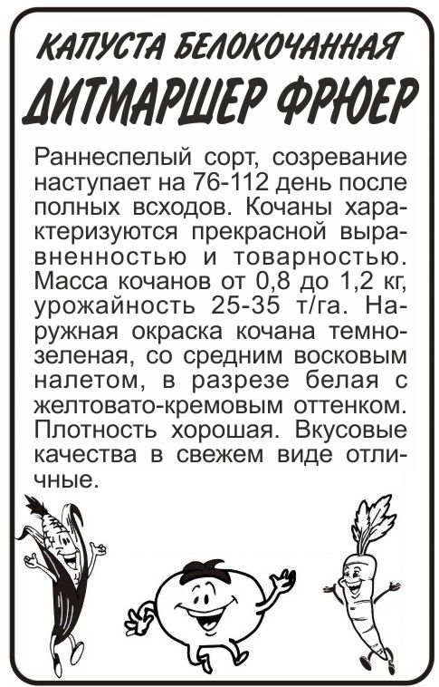 Дитмаршер Фрюер бп