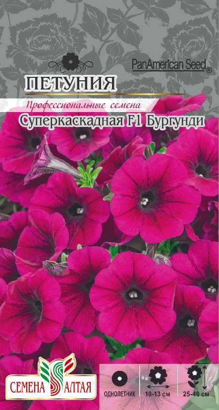 Бургунди суперкаскадная