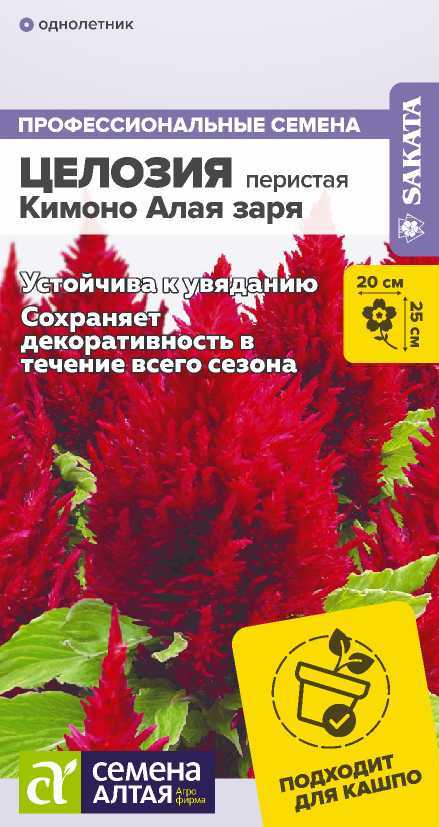 Целозия кимоно алая заря