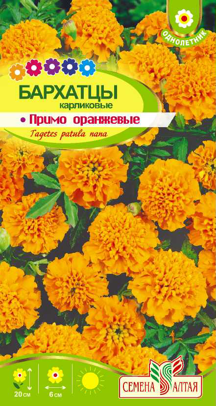 Примо оранжевые