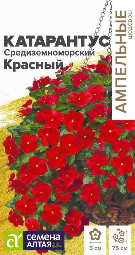 Катарантус Средиземноморский Красный