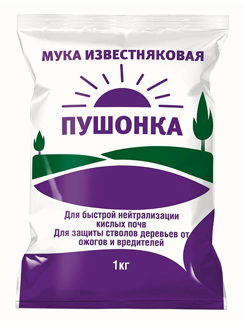 Известь
