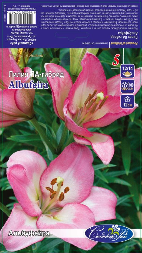 Альбуфейра