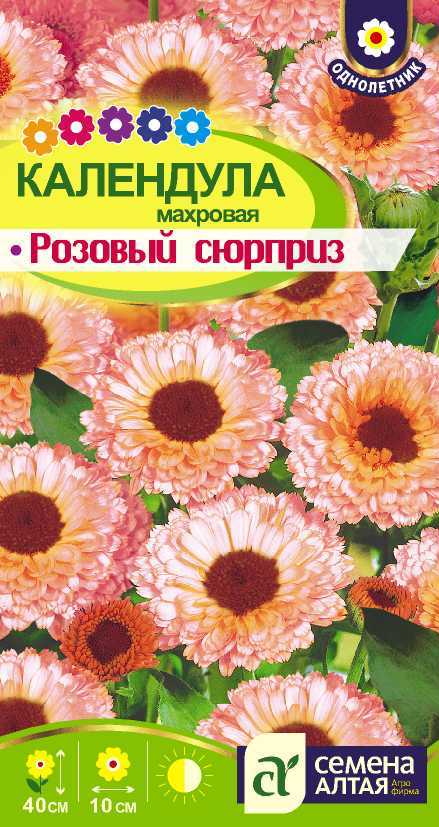 Розовый сюрприз