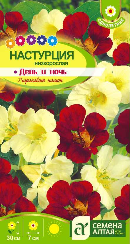 День и ночь цп
