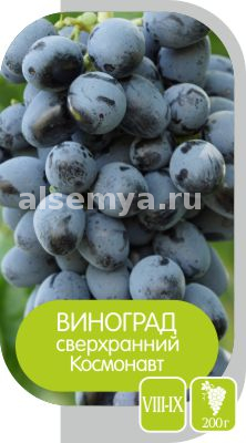Космонавт2