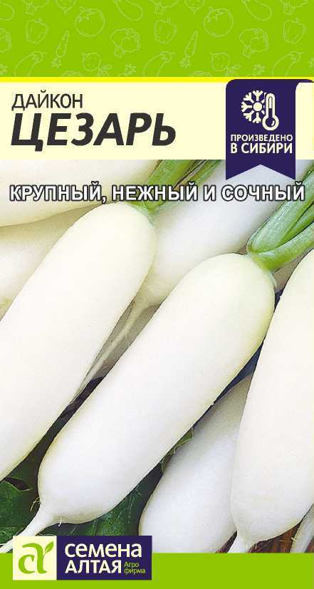 Дайкон Цезарь