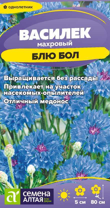 Василек Блю бол