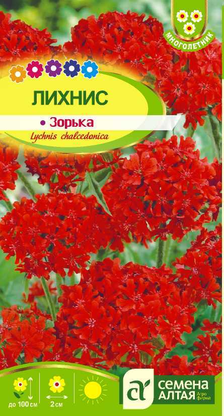 Лихнис цп