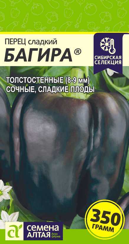 Багира цп