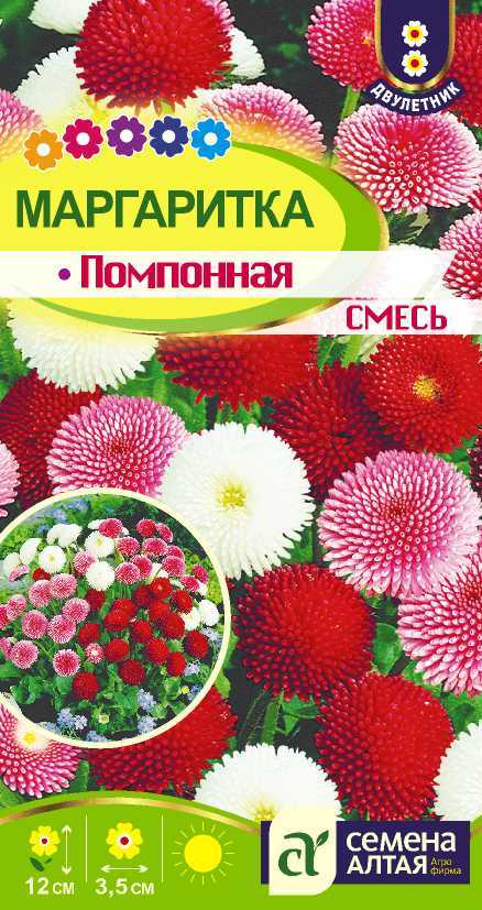 Маргаритка помпон.смесь цп