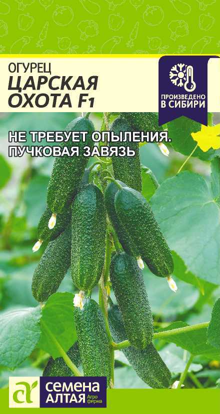 Огурец царская охота