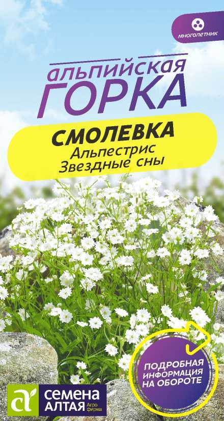 Smolevka