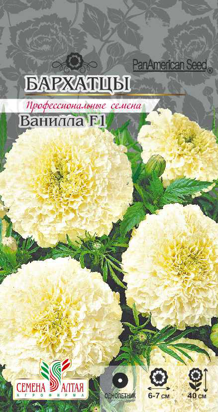 Ванилла
