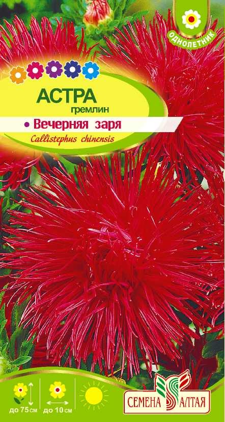 Вечерная заря цп