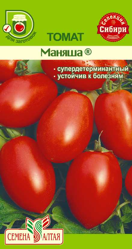 Маняша СС