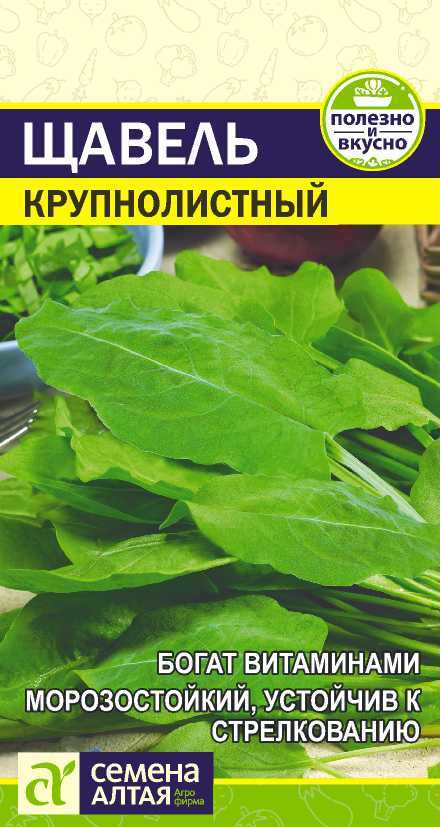 Щавель крупнолистный