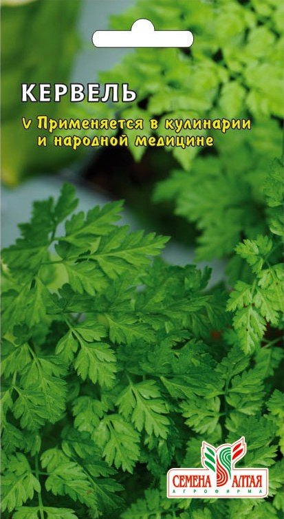 Кервель