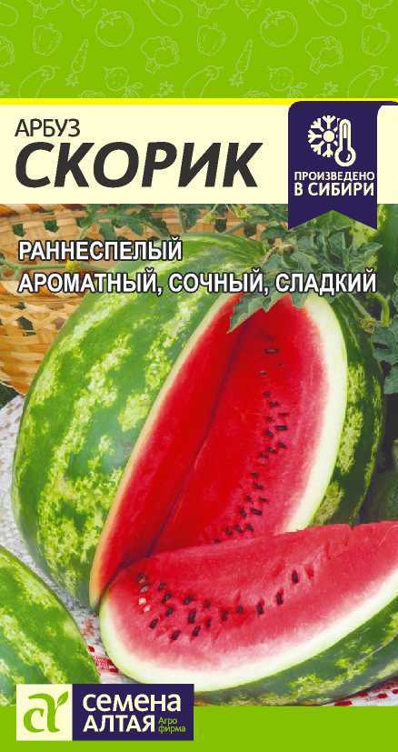 Скорик цп