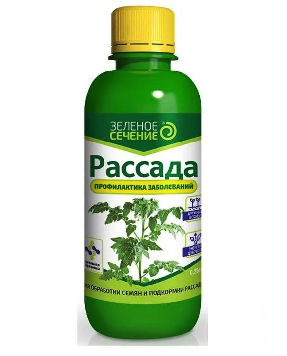 rassada-ot-zabolevanii