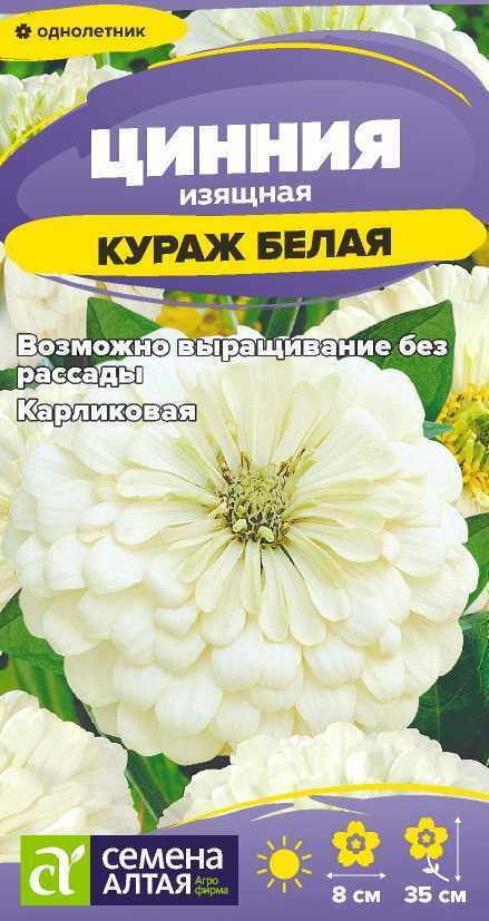 Цинния кураж белая
