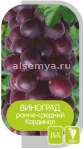 Кардинал2