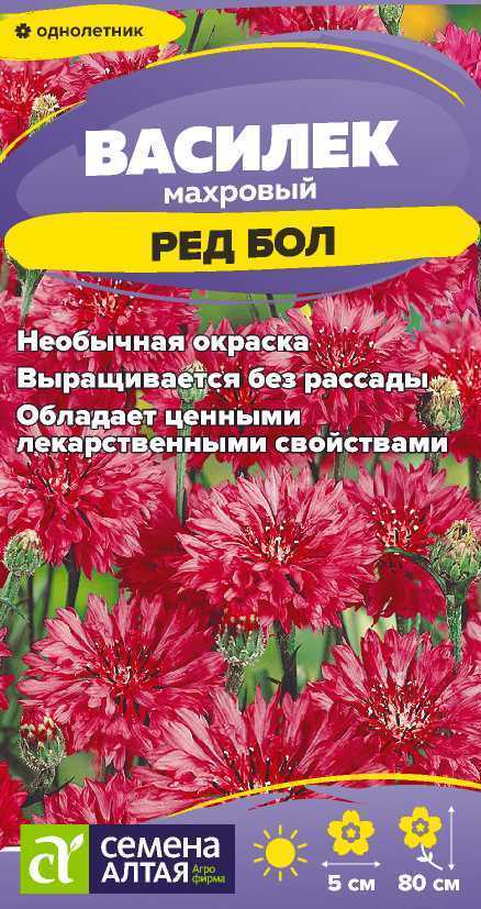 Василек Ред бол