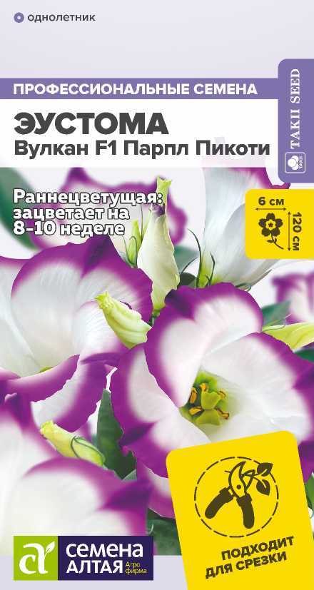 Эустома Вулкан Парпл пикоти
