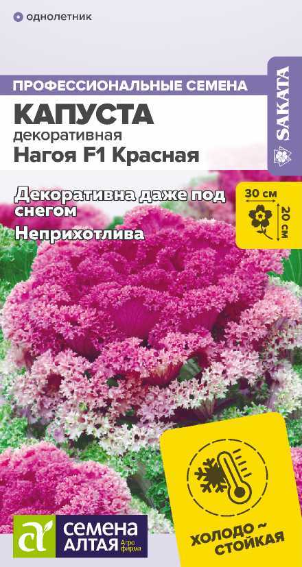 Капуста декор.нагоя красная