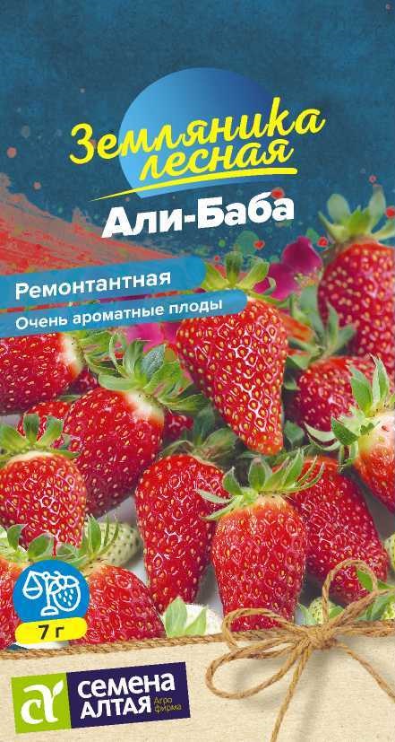 Али-баба 2