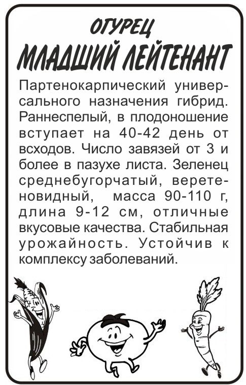 Млад.лейтенант бп