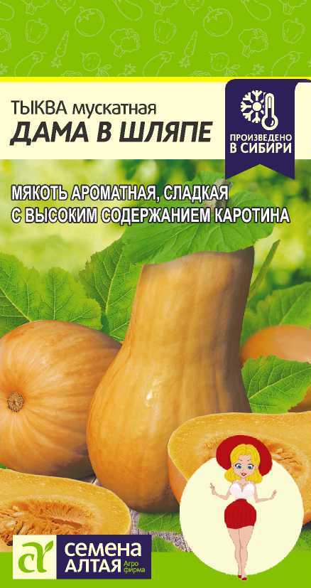 Дама в шляпе