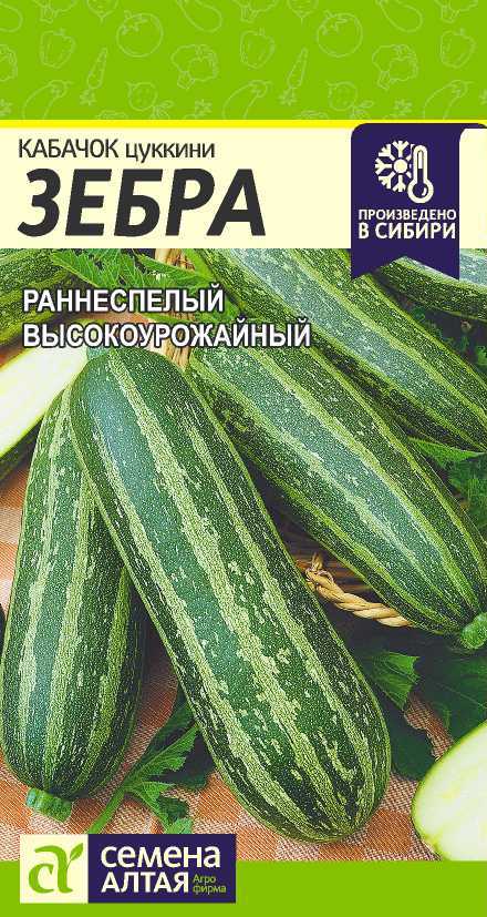Зебра цп