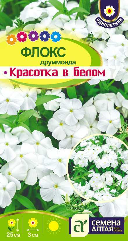 Красотка в белом цп