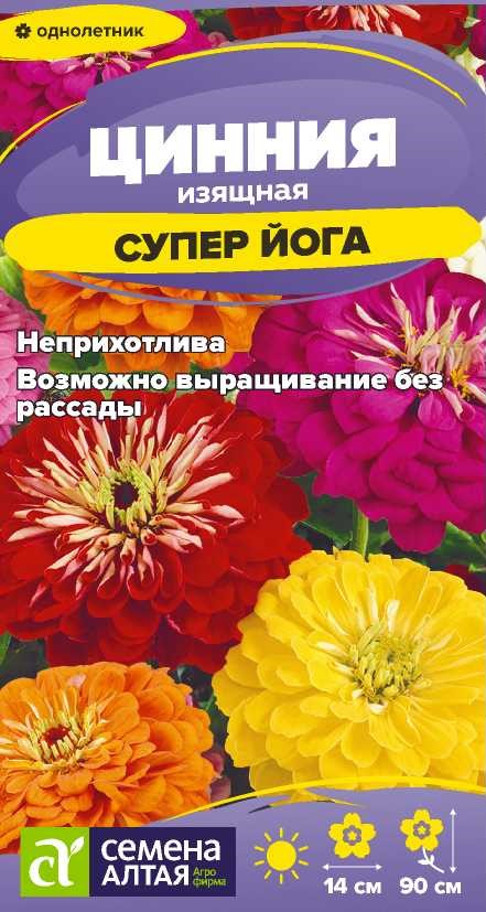 Цинния супер йога