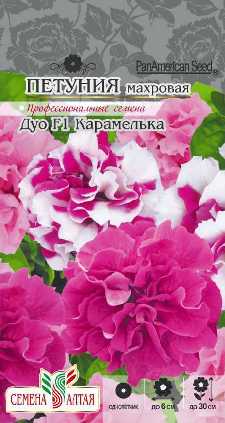 Карамелька махровая Дуо